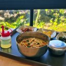 선인장 | 월령포구 맛집, 강식당 촬영지 선인장식당 물회 내돈내산 후기