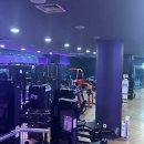 바디짐헬스 이미지