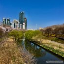 양재천 수변무대4 | 양재천 - 언제까지 썸만 타? 여기에서 연인이 되어보자