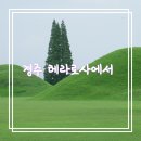 로사의집