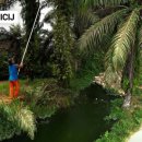 주식회사 국제환경 이미지