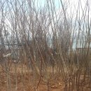 파주시산림조합 이미지