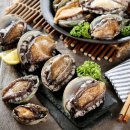 청정영어조합법인 이미지