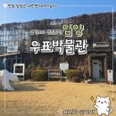 담양우표 | 담양 가볼만한곳 우표박물관 기대 안 했는데 괜찮았던 실내 여행지