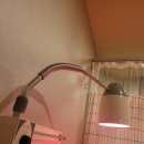 강상욱한의원 이미지