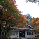 평창회수산