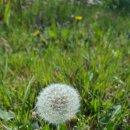 엘도라풀빌라펜션 이미지