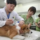 지 동물병원 이미지