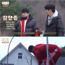 인투고