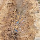 동산3리 이미지