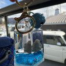 오이시네 | 후지산 버스 투어 후기 ② │ 가와구치코 오이시 공원, 오시노핫카이