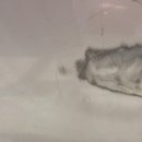 현대제일1급자동차공업사 이미지