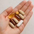 교과서 악기 배우기 이미지