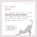 더클래스동물메디컬센터 이미지