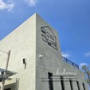기선목장 | 원주 봄에 꼭 가야할 브런치 카페 목수의진달래, 진달래 동산 분위기 장관이고 절경임