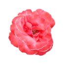 스티커포토샵 이미지