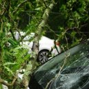 행운실비 이미지