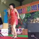 순정감자 이미지