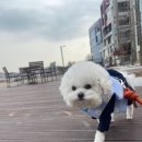 은계유치원 이미지