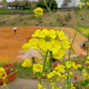 숨골공원 이미지