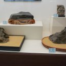 덕소자연사박물관 이미지