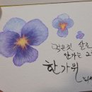 수채화 초급 이미지