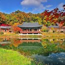 불영사 - 1729 | 불영사