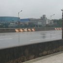 대구 금호강 동촌유원지 동구청쪽 홍수 위기.. ㄷㄷ 이미지