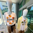 달리는커피제주도남 | 뚜벅이 제주 유니클로 감귤 티셔츠 어디서 살까? 이도점 운영시간 위치 및 구매 후기와 근처 놀거리