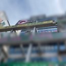 장수참옻닭 이미지