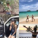 차희 카카오 검색결과