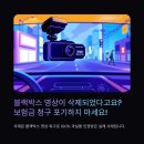 법동교차로 | 자동 삭제 블랙박스 영상 복구, 보험금 청구 성공한 후기 (대전세종)