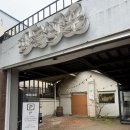 버드나무양조장(주) | 강릉여행 버드나무 표고버섯 피자 수제맥주 양조장 방문후기