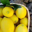 계정농장 이미지