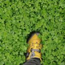 까막재농장 이미지