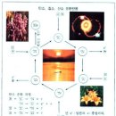 자연SCIENCE 이미지