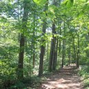 인현왕후길 이미지