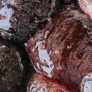 지세포해안로 이미지