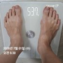 강릉유치원 | 52kg대 진입 성공! 주사 주기 11일 늘리기 테이퍼링 실험과 행복했던 강릉 휴가 후기 (5mg 6펜째 기록)