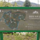 팔공산녹색길 숲길 3코스 이미지