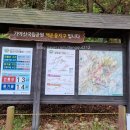 대가야센터-13 | 가야산국립공원 백운동탐방지원센터~용기골~서성재~칠불봉~상왕봉 등산 시간대별 상세 후기