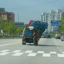 볼수록 이미지
