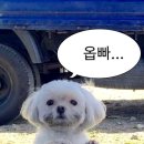 쓰다드멍 이미지