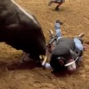 Dad Throws His Body Over Son's to Save Him After Fall from Bull 이미지