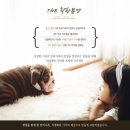 미니펫 강아지분양 고양이분양 수원점 이미지