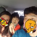 궁촌목장 | 부지런히 돌아다닌 1박2일 삼척 여행(대관령 양떼목장 - 삼척 중앙시장 - 용화해수욕장 - 환선굴 - 강릉...