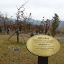 대구경북과학기술원 Daum카페