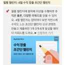 마이리얼트립 마케팅 파트너스 신청 후기