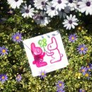 언제나봄 이미지