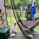 피플앤독 | 내돈내산 세 번째 방문! 예산 피플앤독 힐링캠프 &amp; 느티캠핑장 리얼 후기